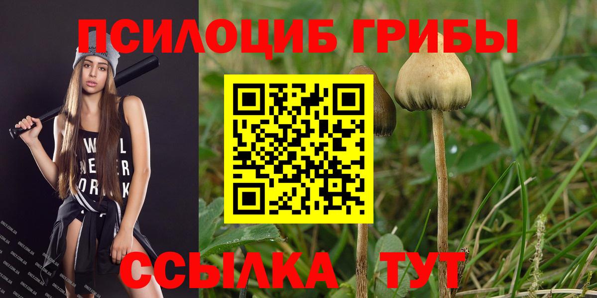 Галлюциногенные грибы прущие грибы  Вход с VPN  Галлюциногенные грибы мухоморы  Лениногорск 
